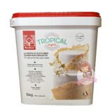 Pasta di zucchero tropical Modecor