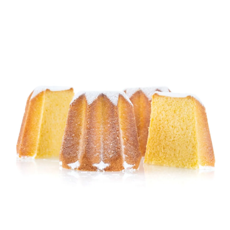 Stampo in Silicone Silikomart Mini Pandoro