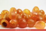 Albicocche Pellecchielle Candite